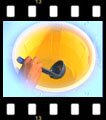 Keep water clean